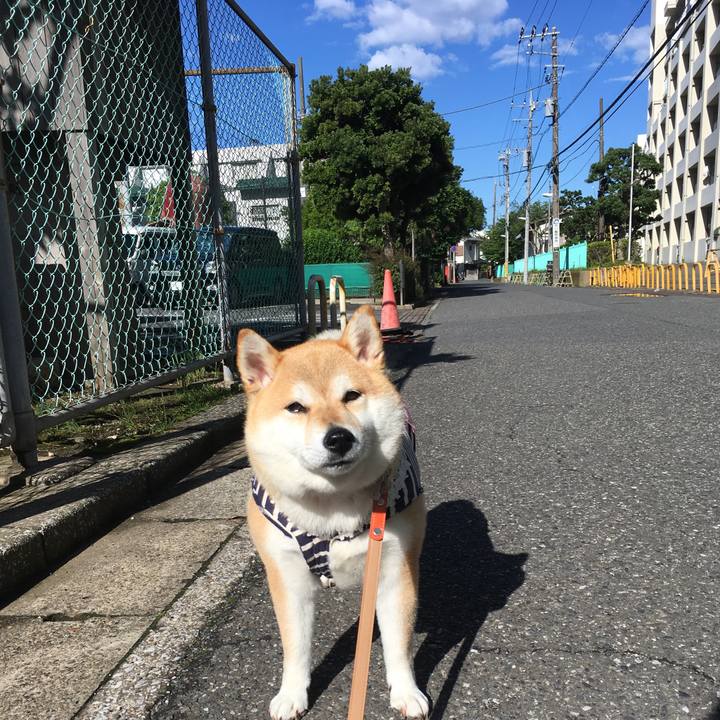 79f3bb37 690f 4334 9b90 45953f8d3fdf 1560638766431