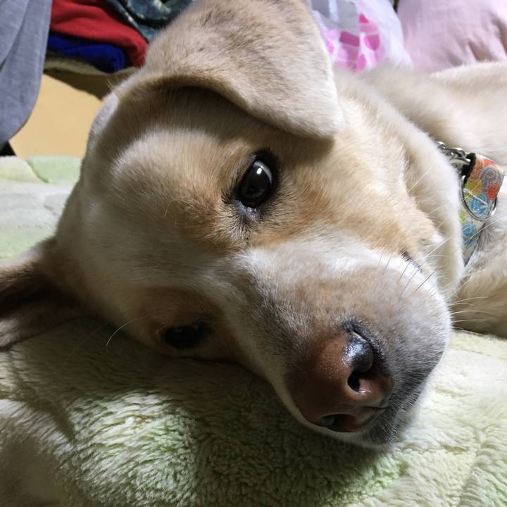 79f3e7ff 9a59 4565 ae3d 5f01dc3c26d7 1516188036398