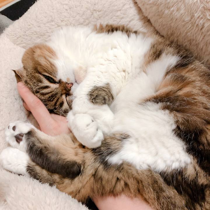 79f421e1 cb4e 410e 9546 76a870e5a8a0 1553342200680