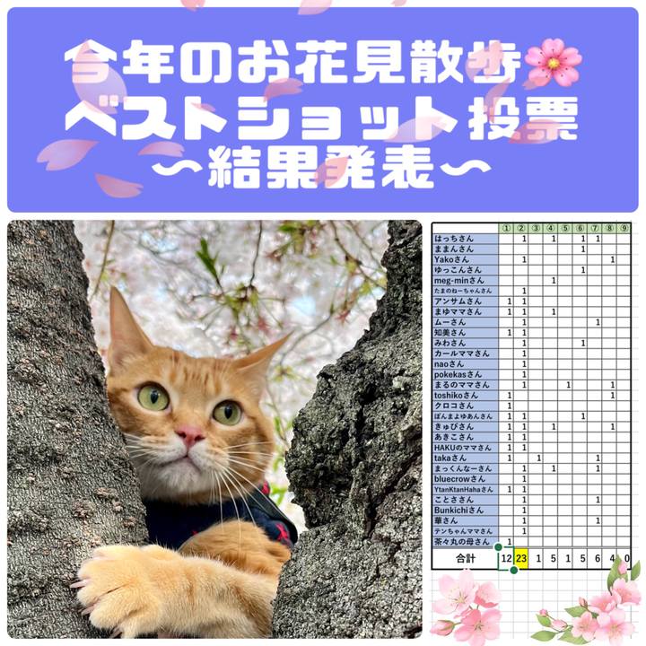 79f45361 e239 40f7 bb87 f7bd7c5d6f45 1648985651787