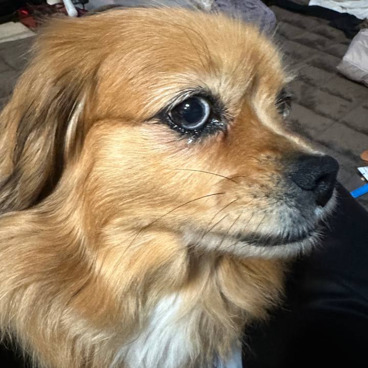 79f46b01 7f6c 4bbb afbb 7e1183c60708 1743972122598