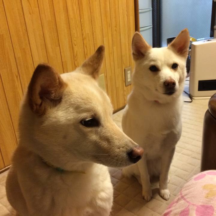 79f480f7 9bc8 4b37 a662 6ae38fa26b34 1521697431194