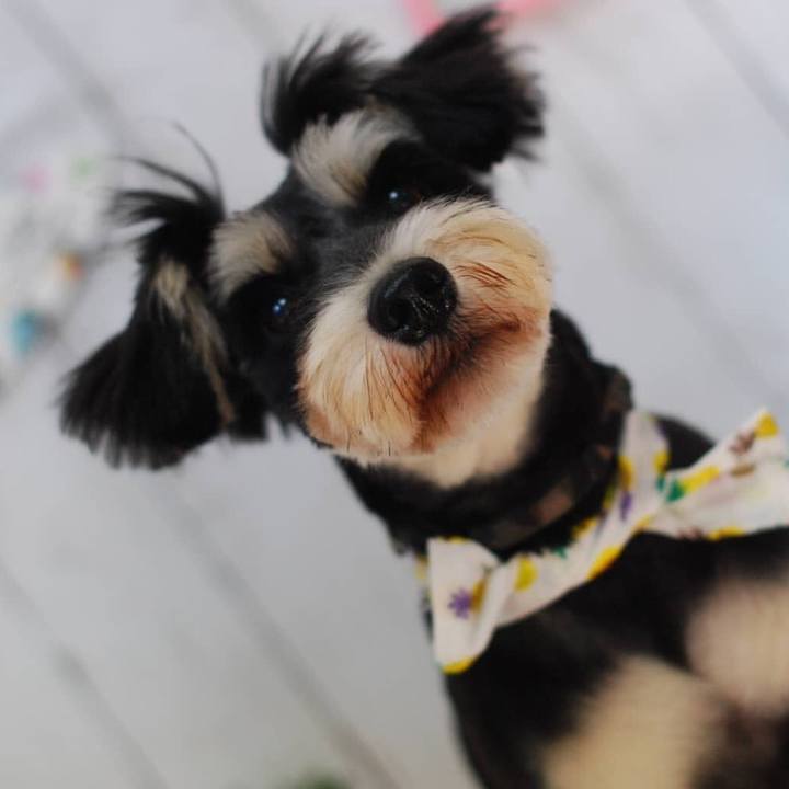 79f48b90 6744 4c6f 88c3 a873be3b63b0 1564406750672