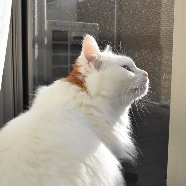 79f4d326 5528 4ff0 a103 dae7983c491f 1762743090174