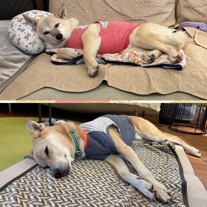 79f4ddf2 e54b 49e2 b55b 1dab981979df 1762837665495