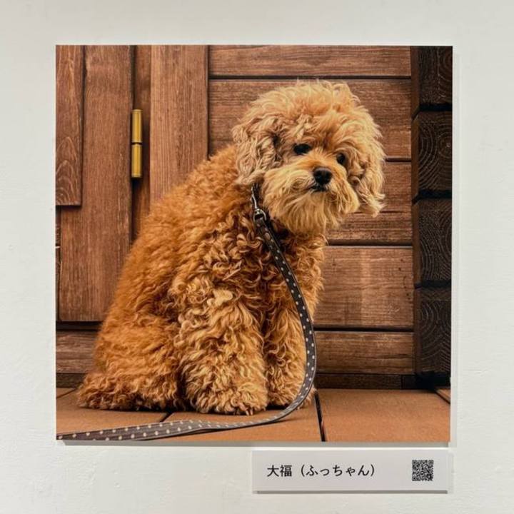 79f4f46d 9b90 4ea5 8bc6 e7c1b90db3a0 1761696155633