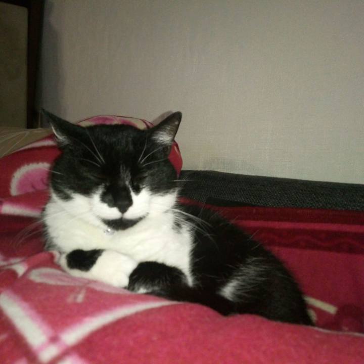 79f50027 54dd 4465 8b29 04d2179e55cb 1510432030749