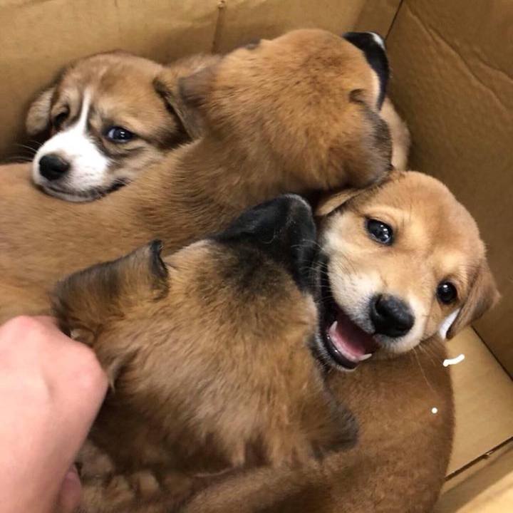 79f507b0 4271 4865 93fc 42d5dd73dbc2 1533546756590