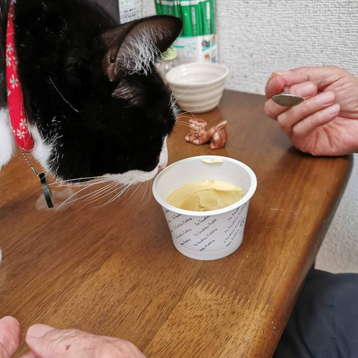 79f55d99 9769 49d2 a1be c62f0354414c 1670216614889