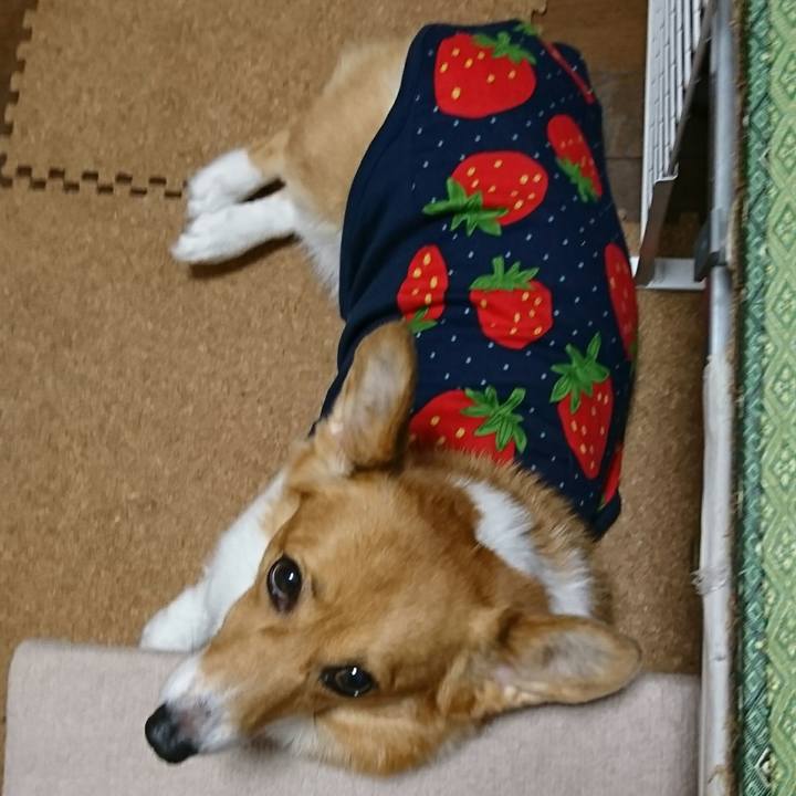 79f56b12 b9db 4764 a217 4b375f97699d 1532514095970