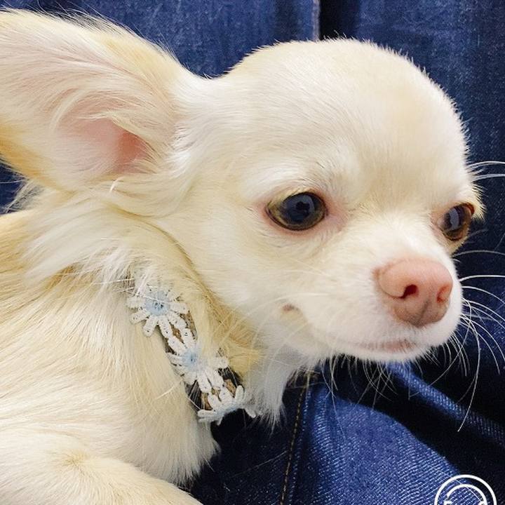 79f56ec5 d180 4997 8048 798be3ffa8aa 1607152582523