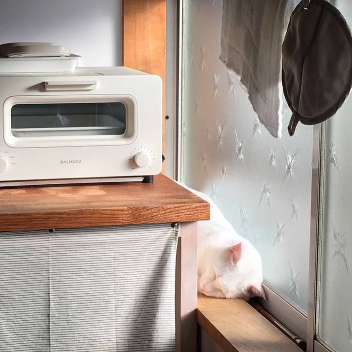 79f570de 1087 4da5 a5d9 eb94503f58af 1540425338199