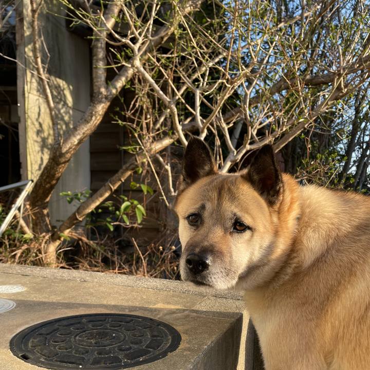 79f5b971 3fe4 4c01 b9e7 b325bf1412f2 1678796733669