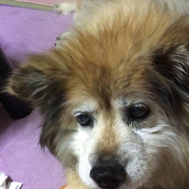 79f62515 ac89 4a67 9ffc 56863ef5d8a7 1598960612727