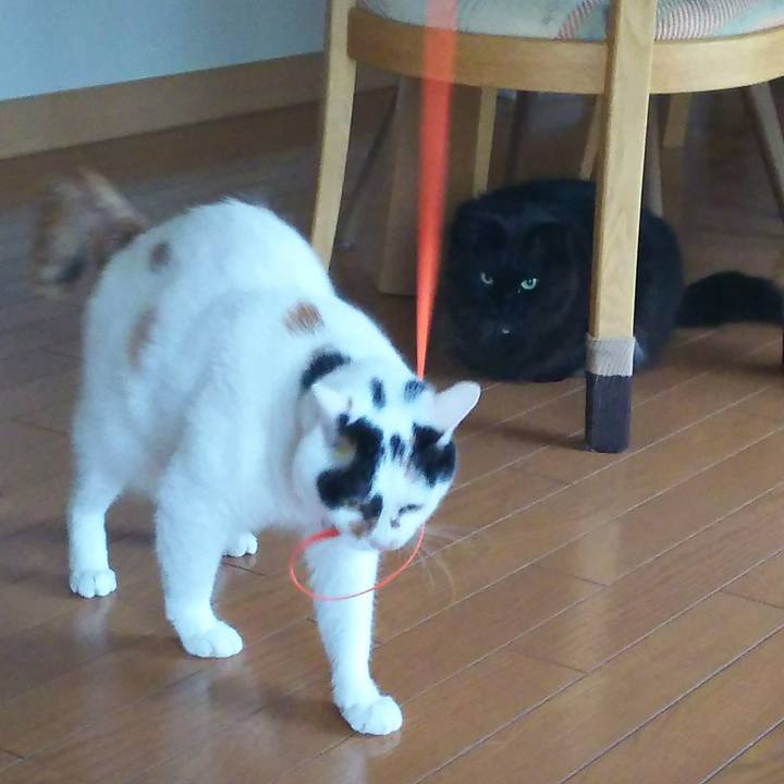 79f658a6 5302 42fa 9764 30f90f7f031f 1521606922967