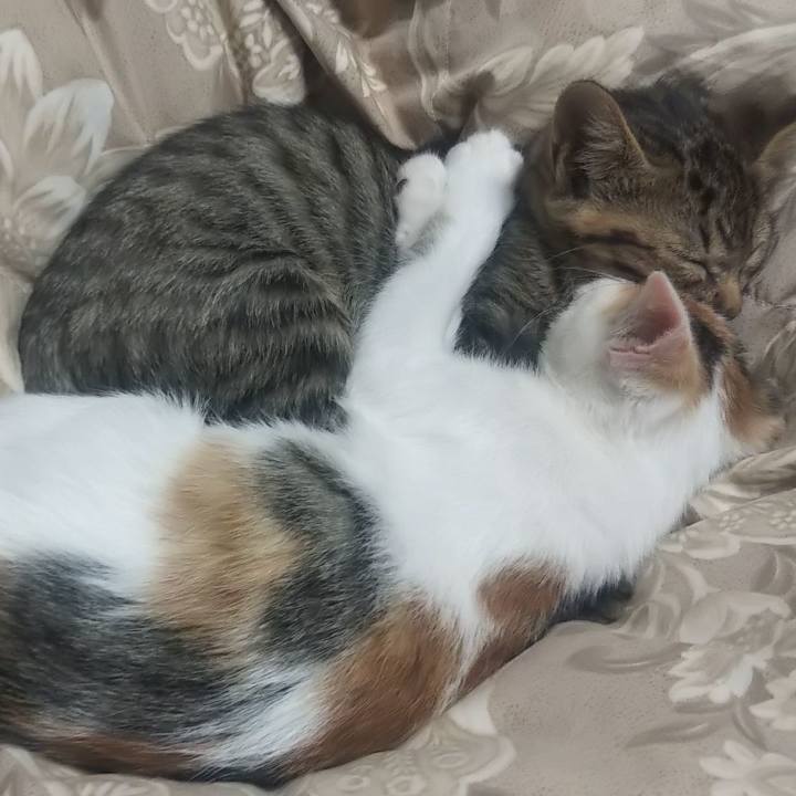 79f69afc 60df 4b43 adb3 cc12c884241a 1635502920646