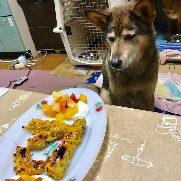 79f70b19 b6bc 402a ab81 1029899a94f4 1526384280540