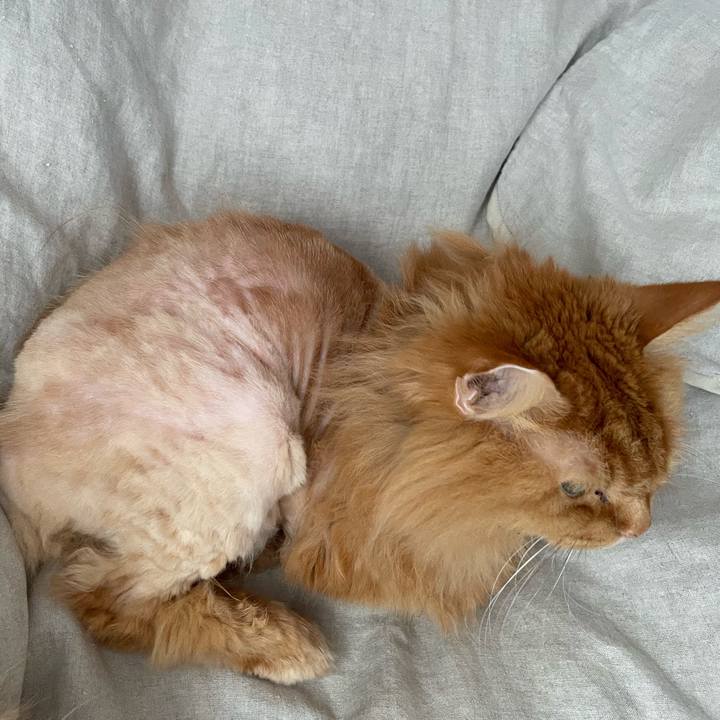 79f70c1c a959 4f72 8c16 b4cd62be8f8d 1762472678251