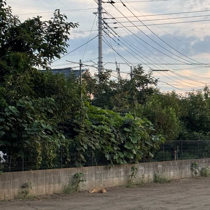 79f76b24 ac79 4037 ad73 ed5045efd3e5 1755487035629