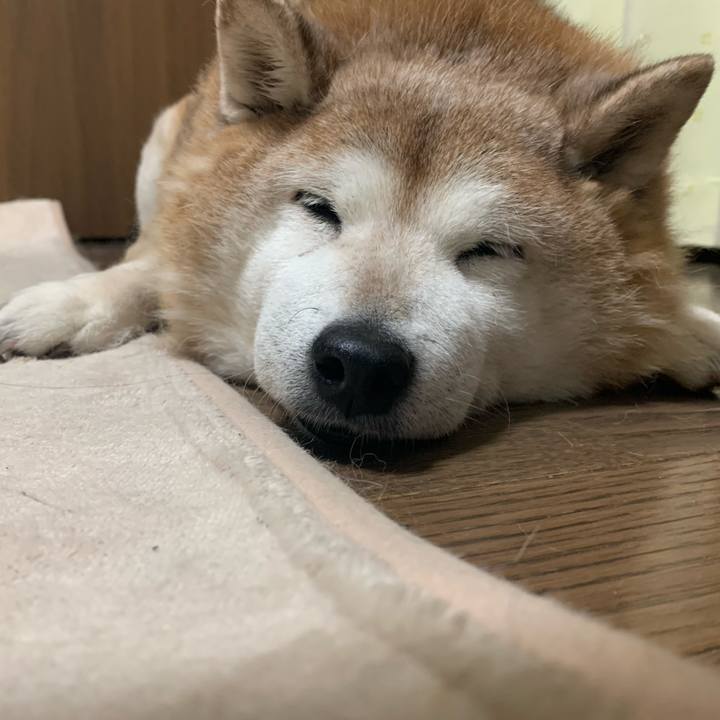 79f77163 8044 4f16 8838 b97fe42275b3 1615020449472