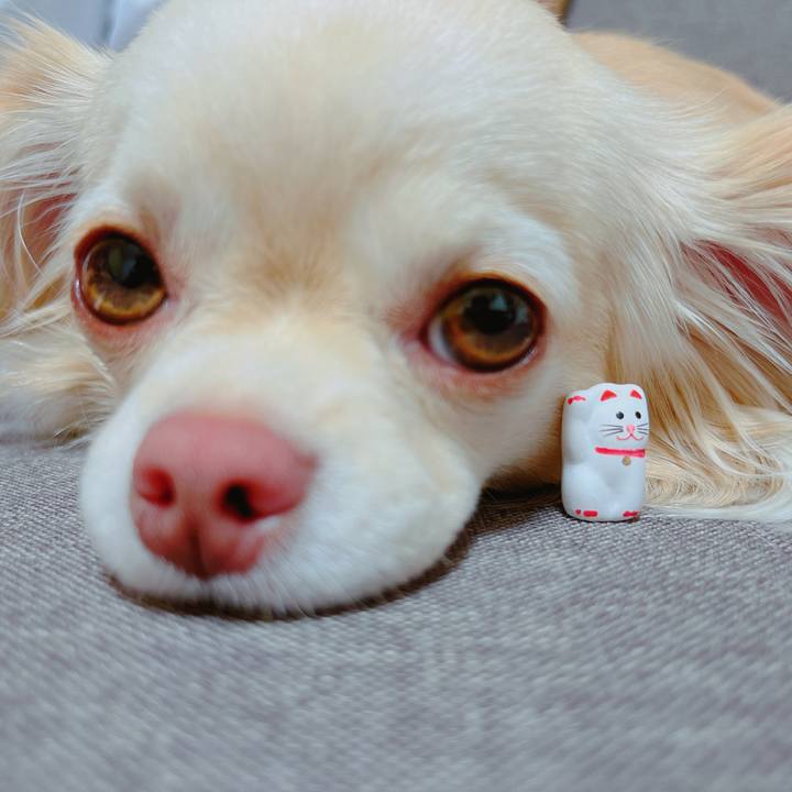 79f77352 1194 432a 8123 466cc798201a 1650766859682