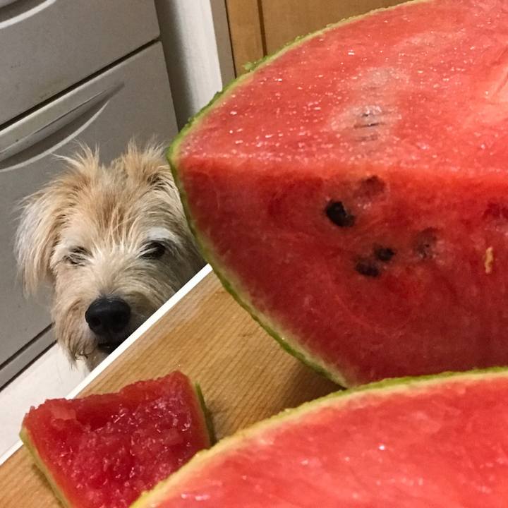 79f77a08 4d12 4731 9f08 b0a33a6c802c 1535110518963