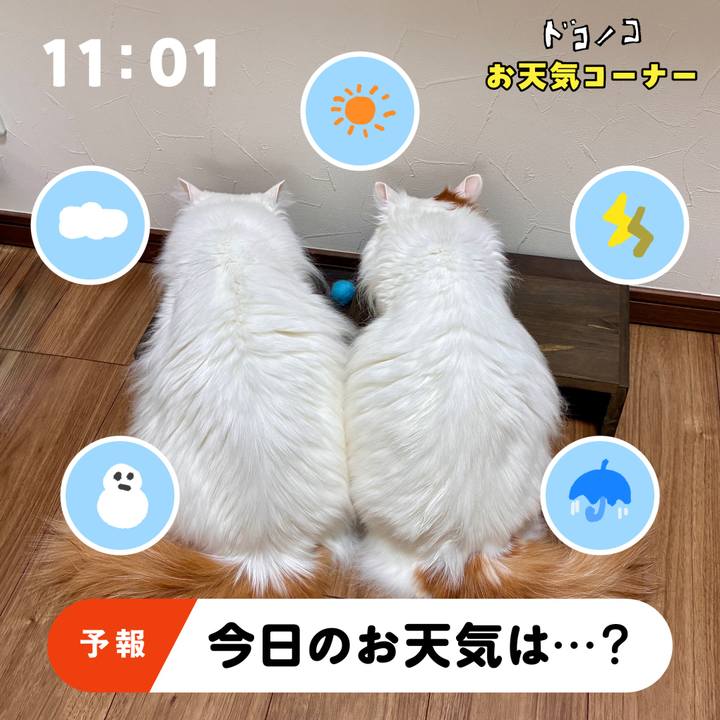 79f7e3a5 d807 41e3 8583 80be9b76ea8e 1781529053097