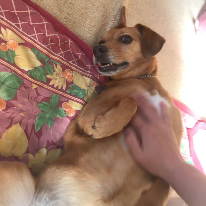 79f7ecf5 b6d9 45b4 ad54 4aa56c2062a7 1558765576205