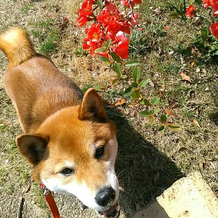 79f7f2fb f4f9 4dbe aa0e 3d983ee6a12d 1553655496091