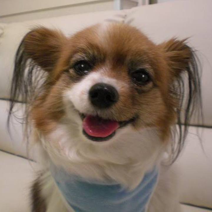 79f8020b ea55 49c6 8855 3b0c98a89955 1512111911481