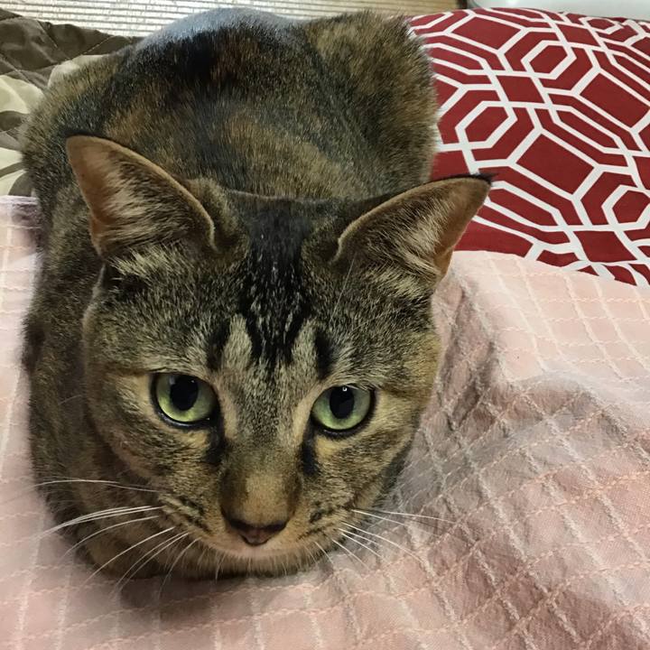 79f81a37 1f0a 49cf a24f e3198dcd4214 1615603855049