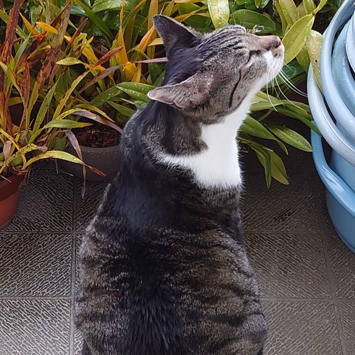 79f880c7 6ad6 499b a12c 56d050084b23 1723772780813