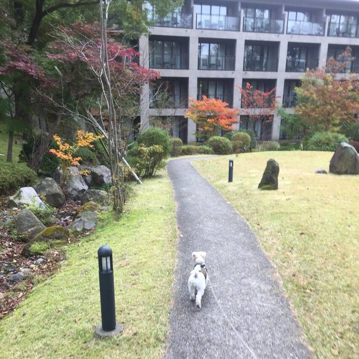 79f8866a 4dd5 4976 9f84 f8a81517e79b 1509537090387