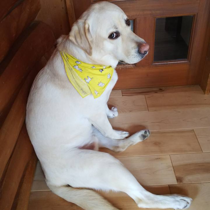 79f8873d 7457 4836 a247 4a9bf071f354 1516503009593