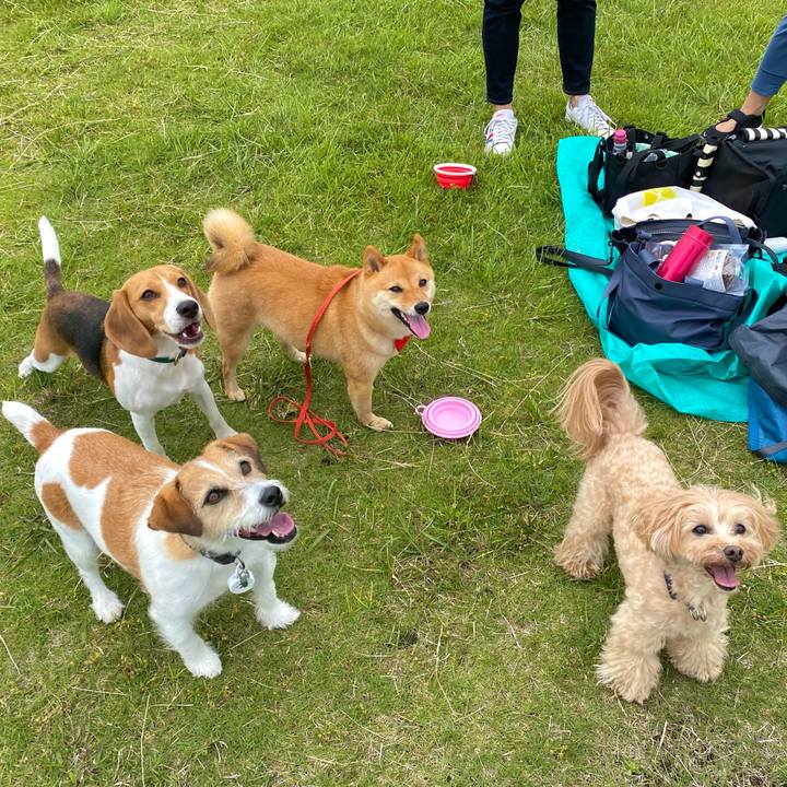 79f91385 4ba6 409c a024 6775dc387642 1622610739341