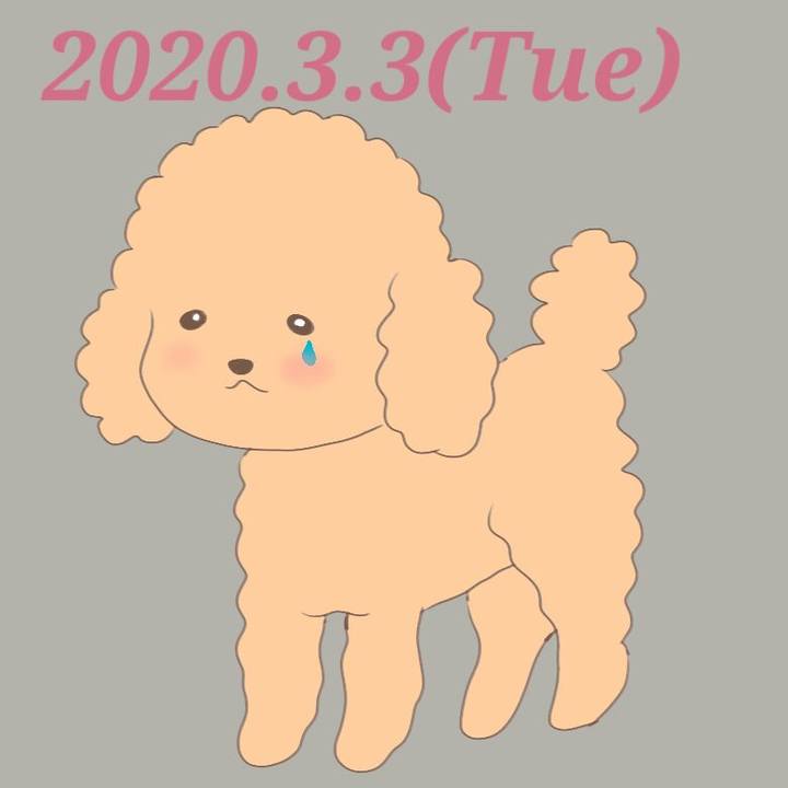 79f93f3c a86c 40f4 b6ce 95a3ed9e633f 1583242530017