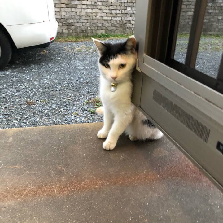 79f949da fad7 470e 9dce d8cef97bdfa1 1606083782449