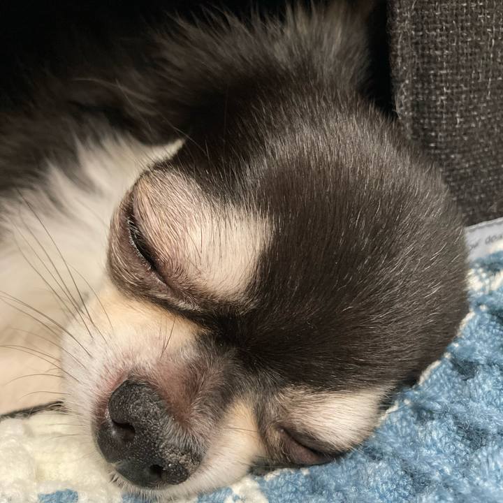 79f978dd 2201 4eb0 9731 9a5ff5f878e6 1661570346584