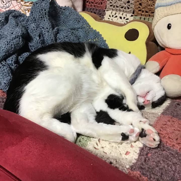 79fa1818 b6f2 42c0 81c2 38c21d7525f2 1670419370522