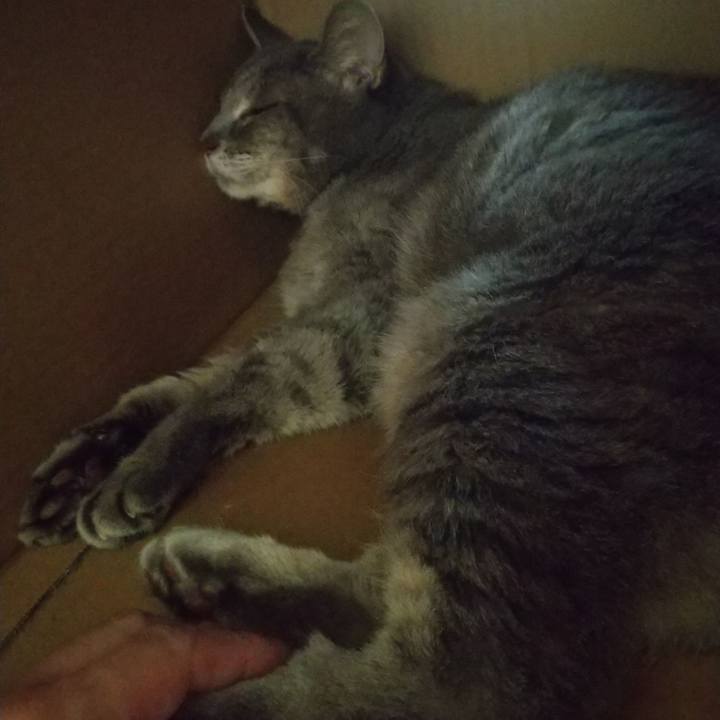 79fa2995 c281 4a78 af11 e0a41a0fb844 1663306723276