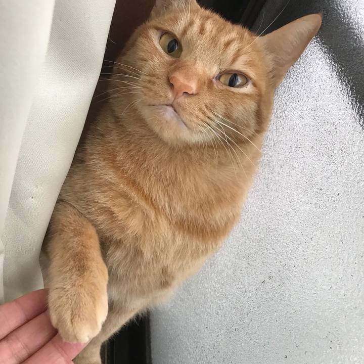 79faa704 1f48 4ac3 96d6 7cbf7255636f 1590190701332