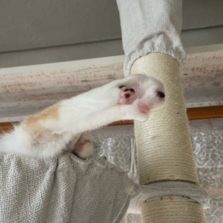 79fabb82 f989 42e9 a4d0 9eea7cf20e75 1726448491652