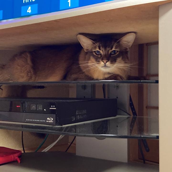 79fac82d b78c 4172 bf67 9b3b9613e8de 1628336198512