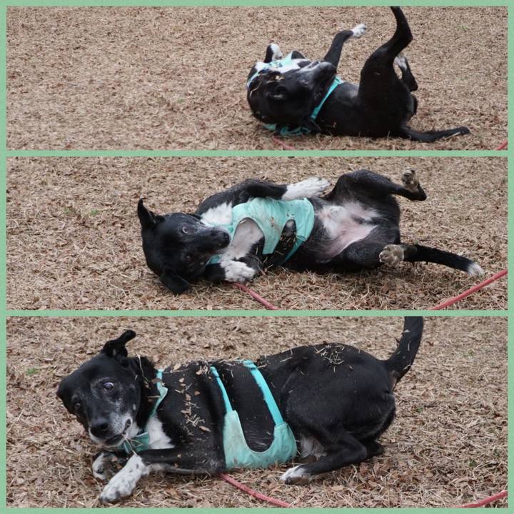 79faec1b 6c7a 45ae a07d 277559e50006 1772413223823