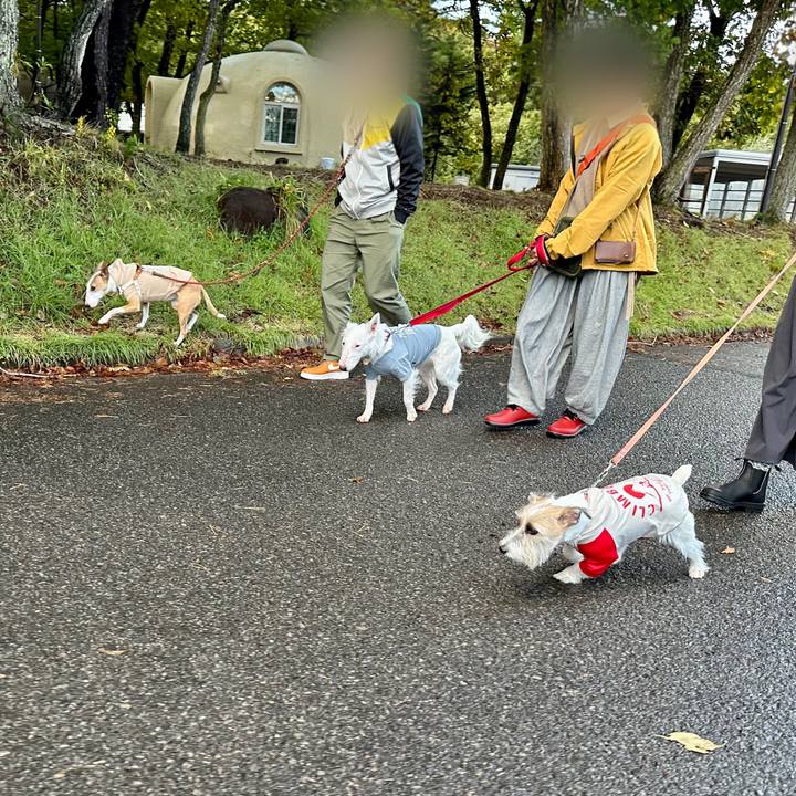 79fb46b9 c62b 4b7e a9c7 3a2f59d07507 1697385882887