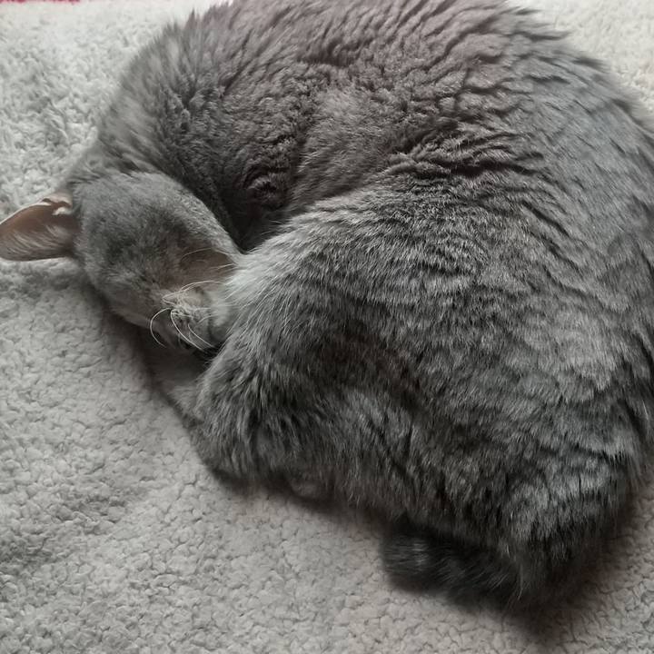 79fba8ff 0978 441f bd4c 37c66ff88f07 1685833647506