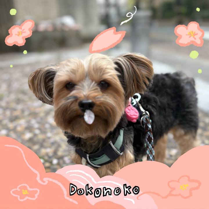 79fbcb4a 79d2 46a2 87fc c47193ff8443 1775551610034