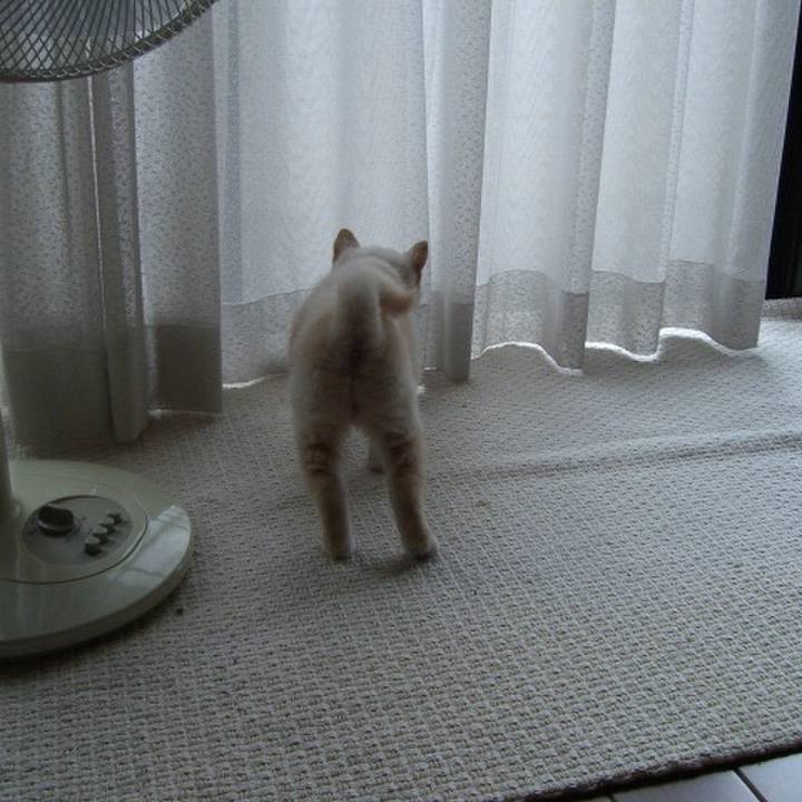 79fbd022 17fd 4579 9043 f52763605eba 1637590016823