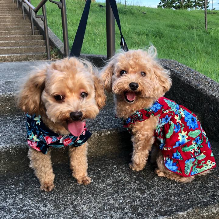 79fbfe2a e7e5 45c1 b53b e7d97e7c88b9 1659955883537