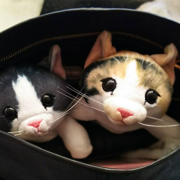 79fc5f0f c11c 46e9 b8ef ddfc34eb0351 1542938031019